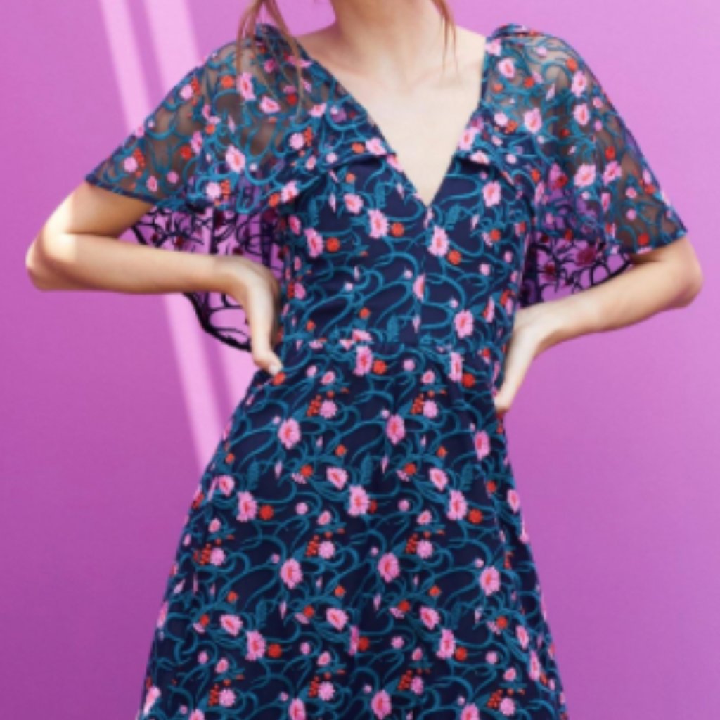 Dress The Population Virginia Dress